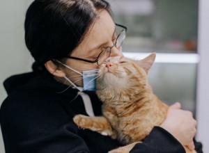 Подбери друга