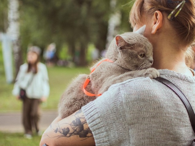 Дружба навеки