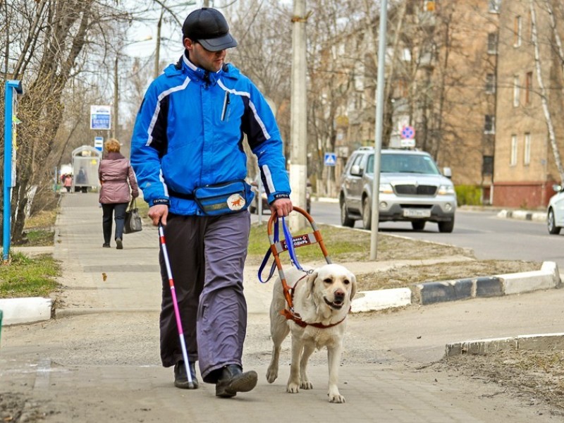 Учебно-кинологический центр «Собаки-помощники инвалидов»